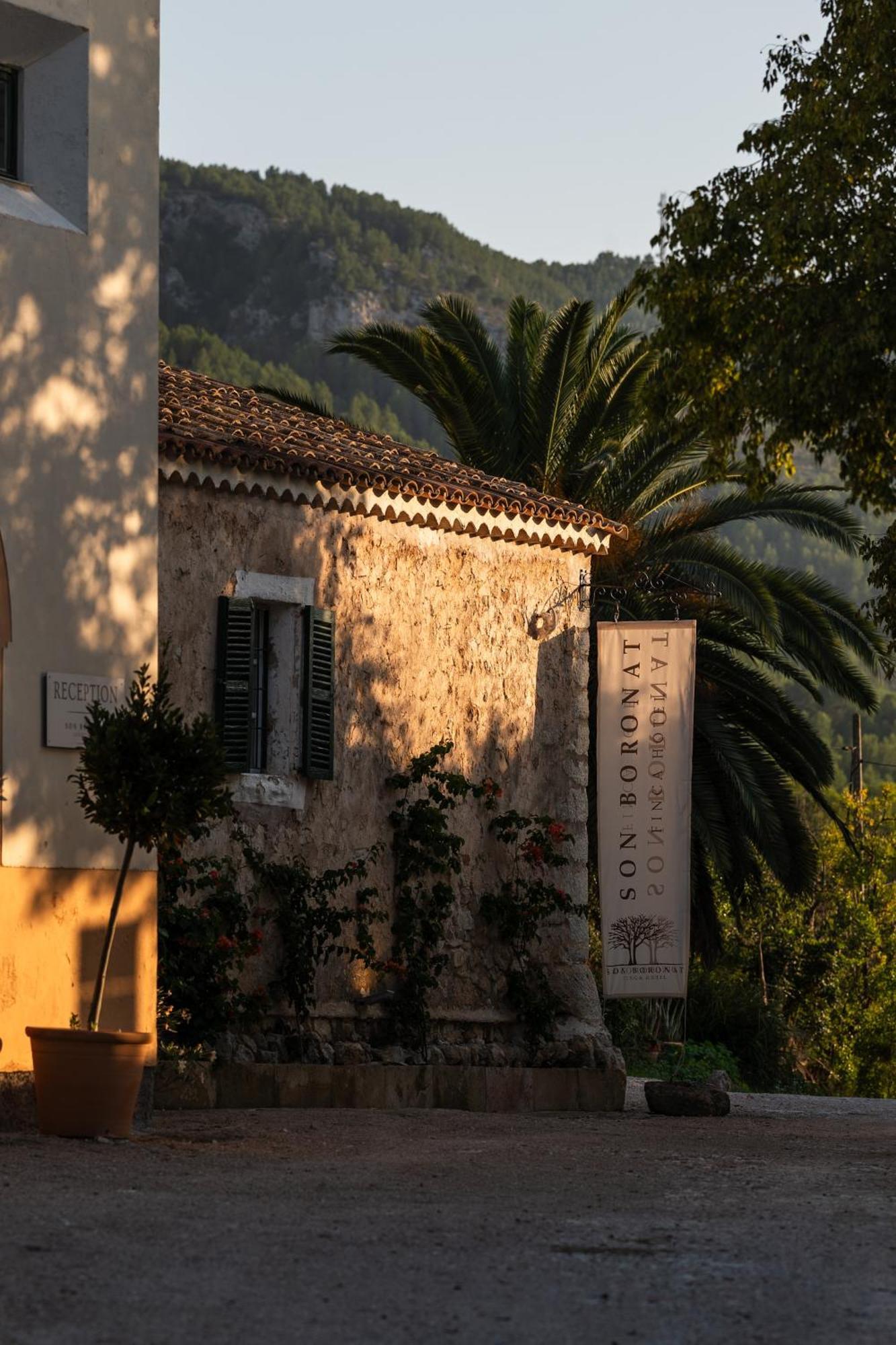 Agroturismo Son Boronat Calvia  Eksteriør billede
