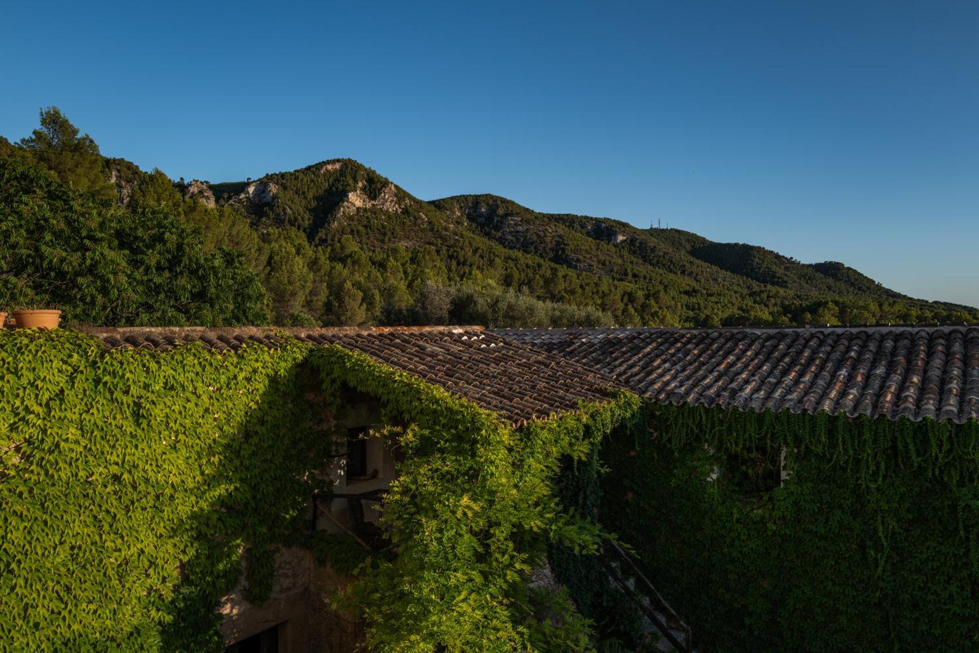 Agroturismo Son Boronat Calvia  Eksteriør billede